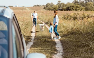 O que leva os cachorros a correrem atrás de carros, motos e bicicletas?