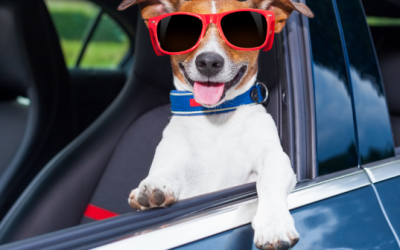Dicas para o sucesso da sua viagem de carro.